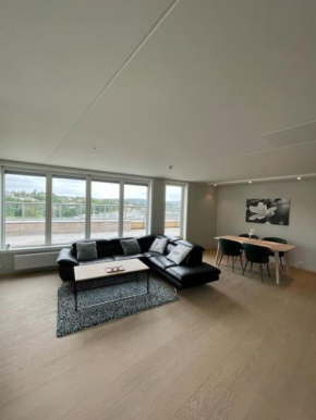 Penthouse apartment - Lillestrøm